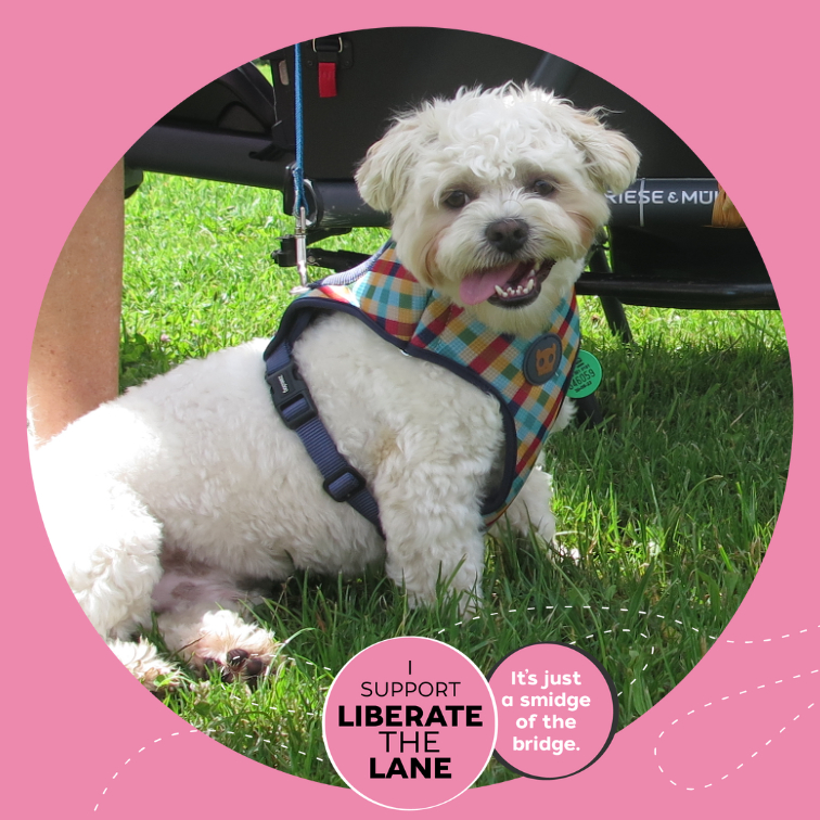 Pink circular photo frame says "I support liberate the lane" and "it's just a smidge of the bridge". The sample picture is of a very cute dog.